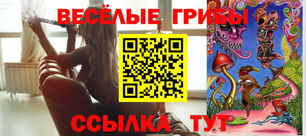 Алексеевка  Псилоцибиновые грибы MAGIC MUSHROOMS  Вход с VPN 