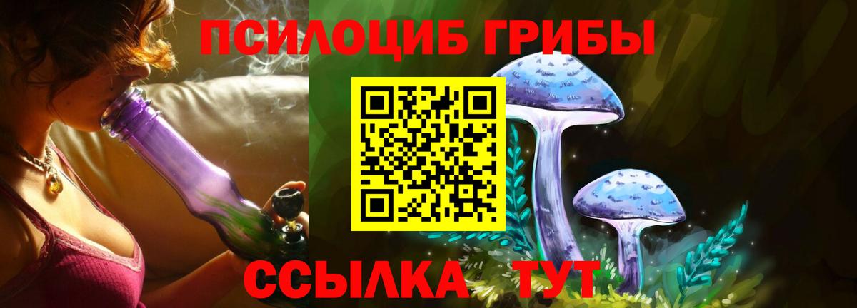 Псилоцибиновые грибы Psilocybine cubensis Алексеевка